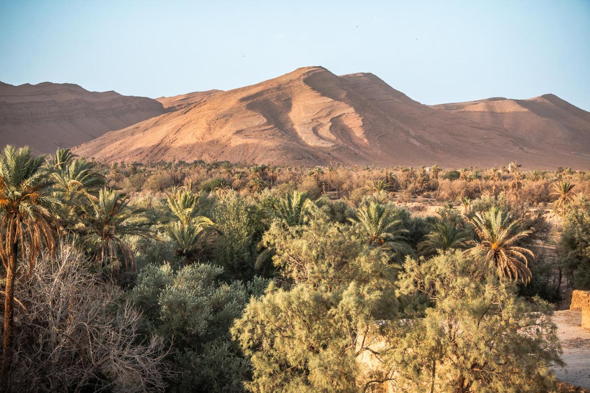 Bed and Breakfast Oasis Travel Tazouka Esterno foto