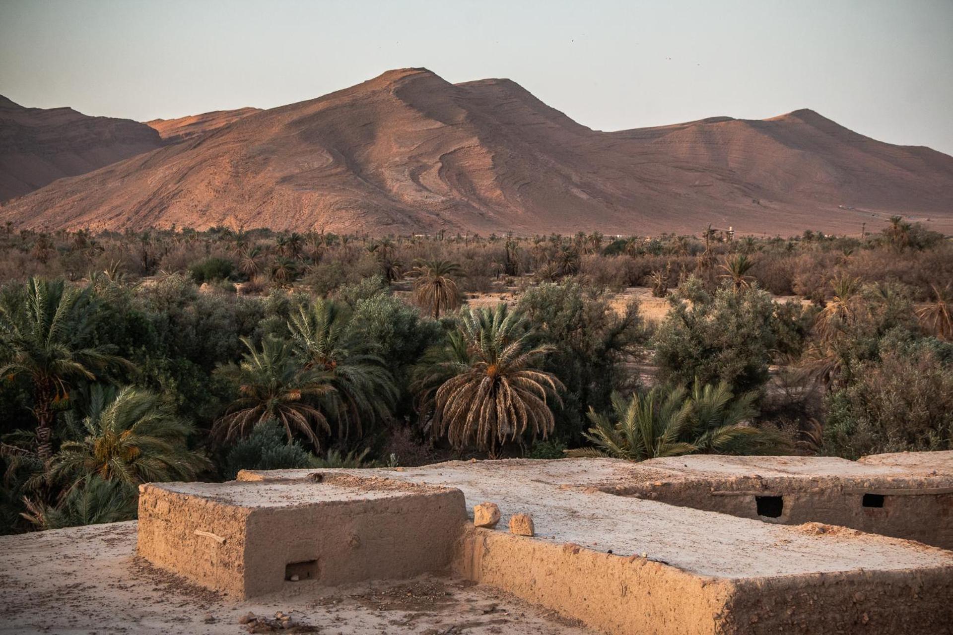 Bed and Breakfast Oasis Travel Tazouka Esterno foto