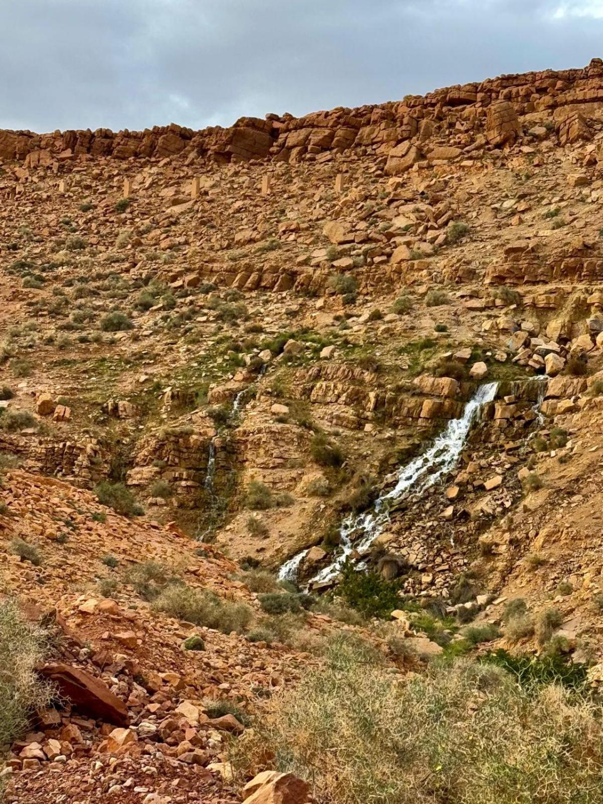 Bed and Breakfast Oasis Travel Tazouka Esterno foto